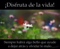 /album/fotogaleria/disfruta-de-la-vida-other-jpg/